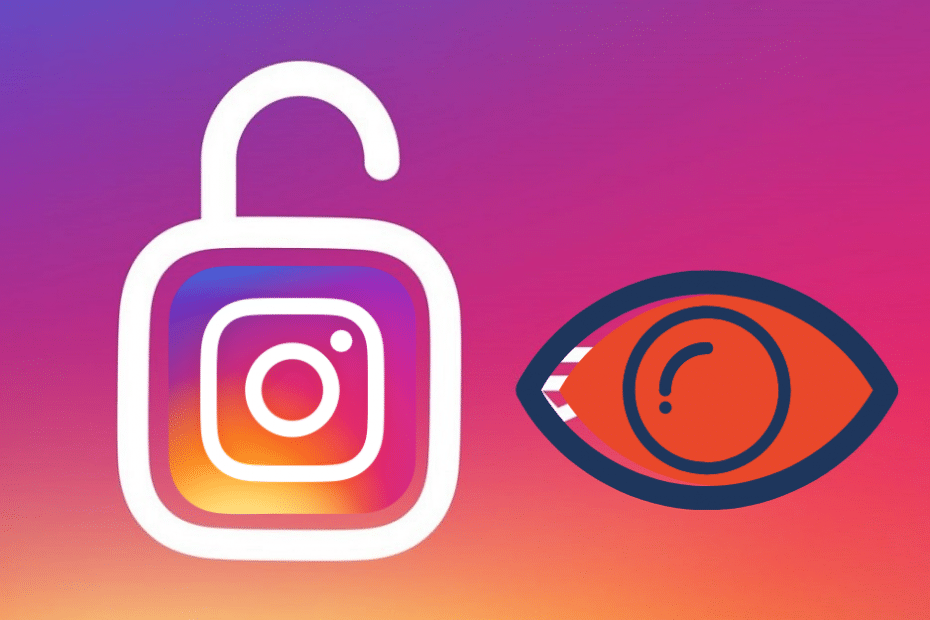How to View Private Instagram Profiles