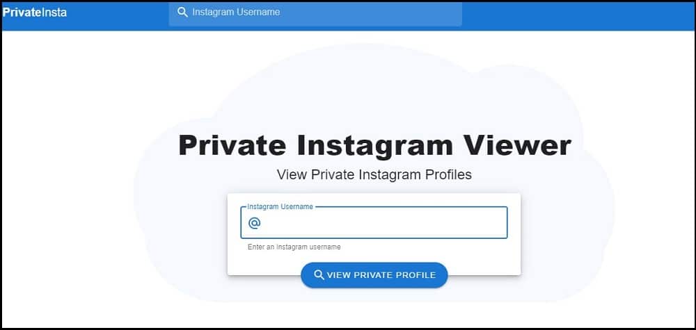 PrivateInsta Overview