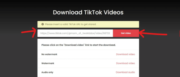 Save TikTok Videos Online