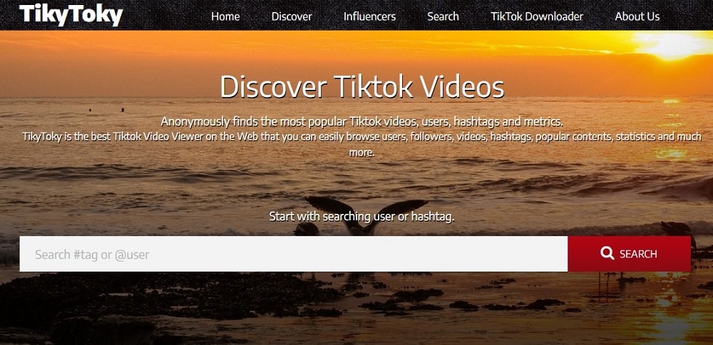 TikyToky Overview