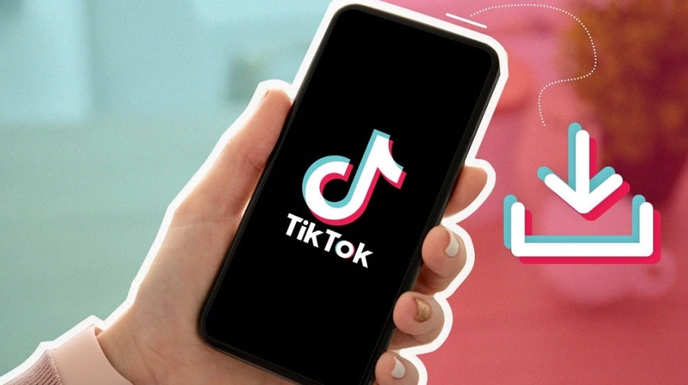 Use Third-Party App to Download TikTok Videos