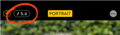 Use the Portrait Mode 1