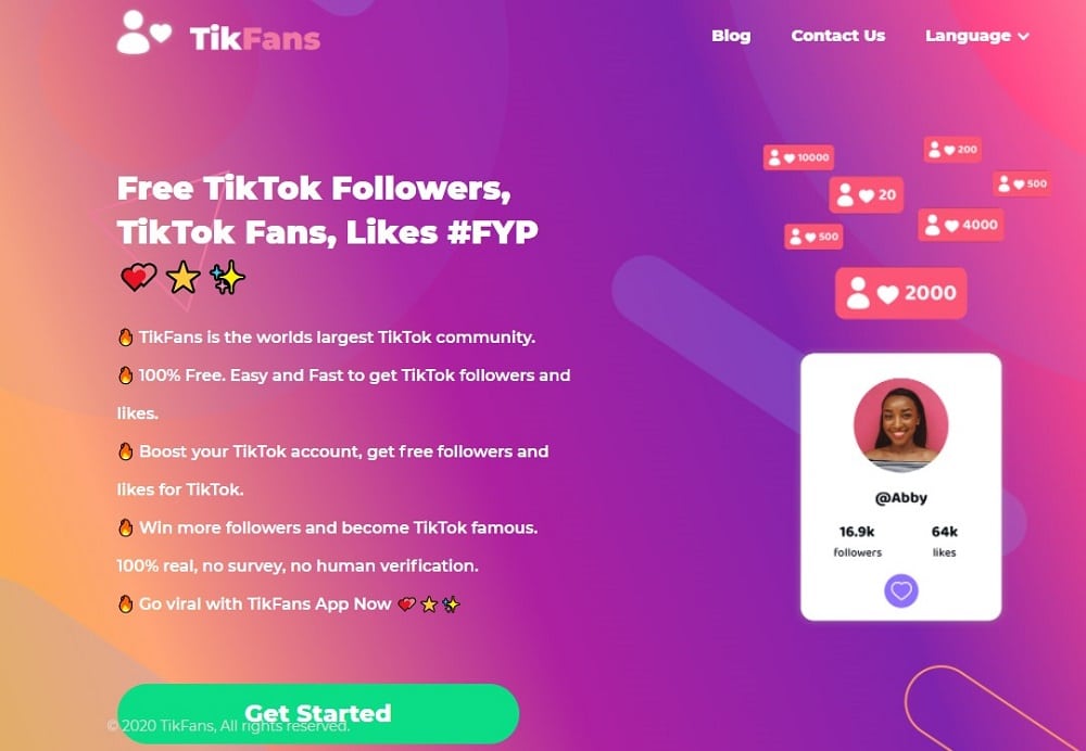 TikFans overview