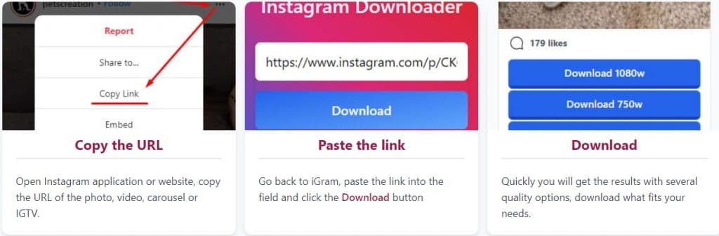 Video Downloader for Instagram steps