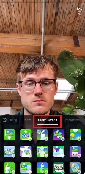 green screen option