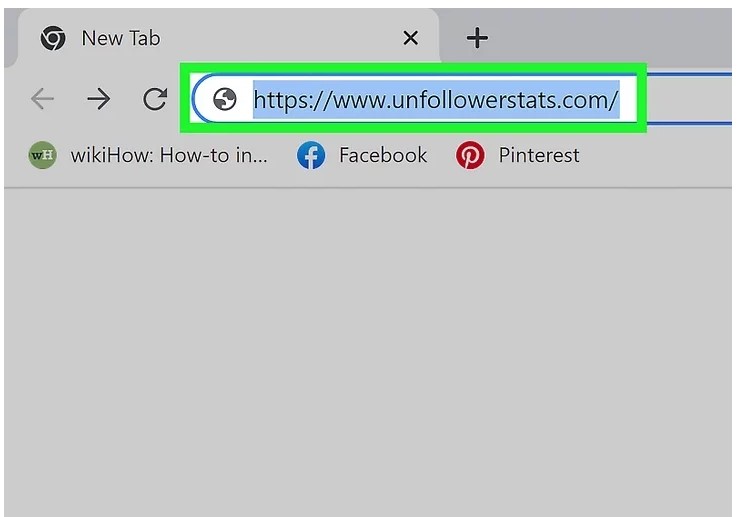 Unfollower Stats website loging