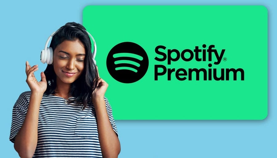 Spotify Premium Users