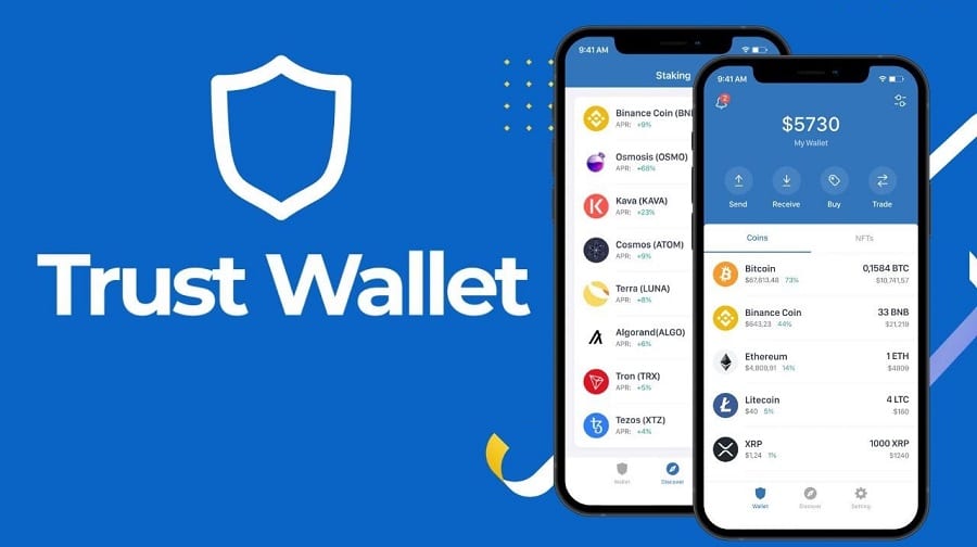 Open Your Trust Wallet From a VPN